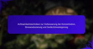 Achtsamkeitstechniken zur Verbesserung der Konzentration, Stressreduzierung und Gedächtnissteigerung