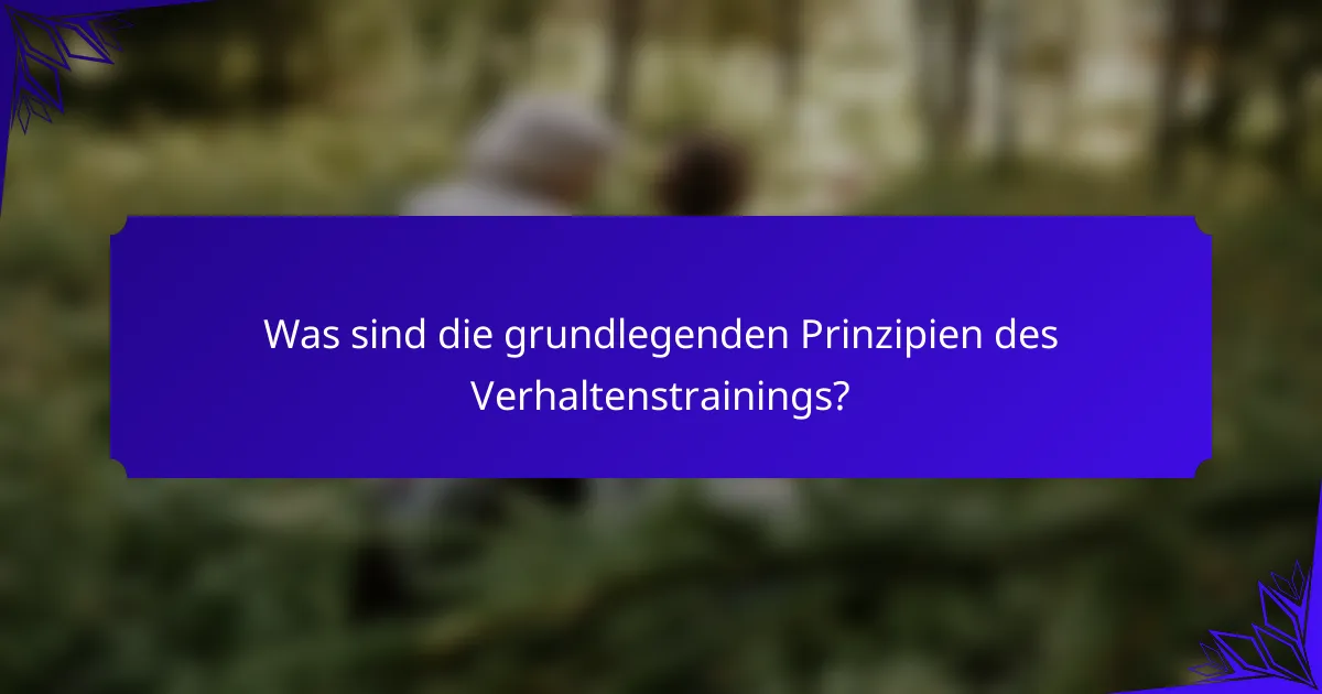 Was sind die grundlegenden Prinzipien des Verhaltenstrainings?