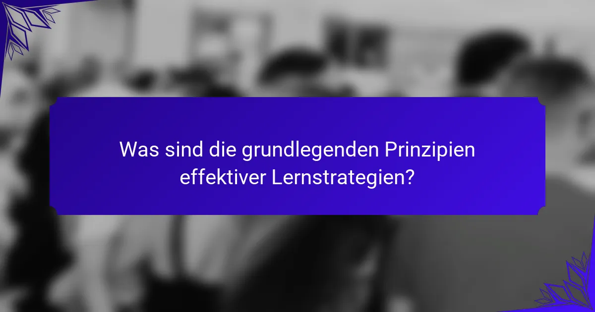 Was sind die grundlegenden Prinzipien effektiver Lernstrategien?