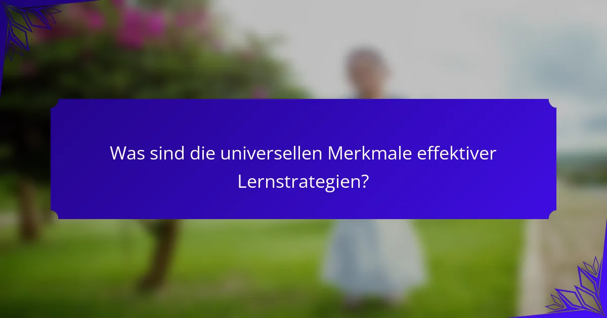 Was sind die universellen Merkmale effektiver Lernstrategien?