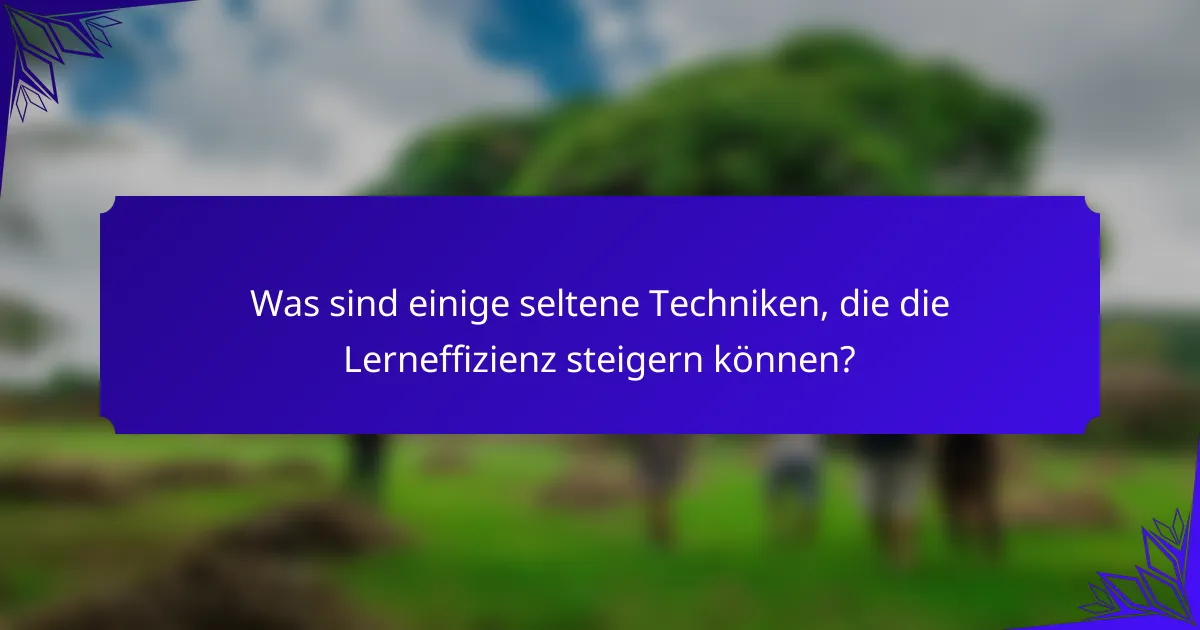Was sind einige seltene Techniken, die die Lerneffizienz steigern können?