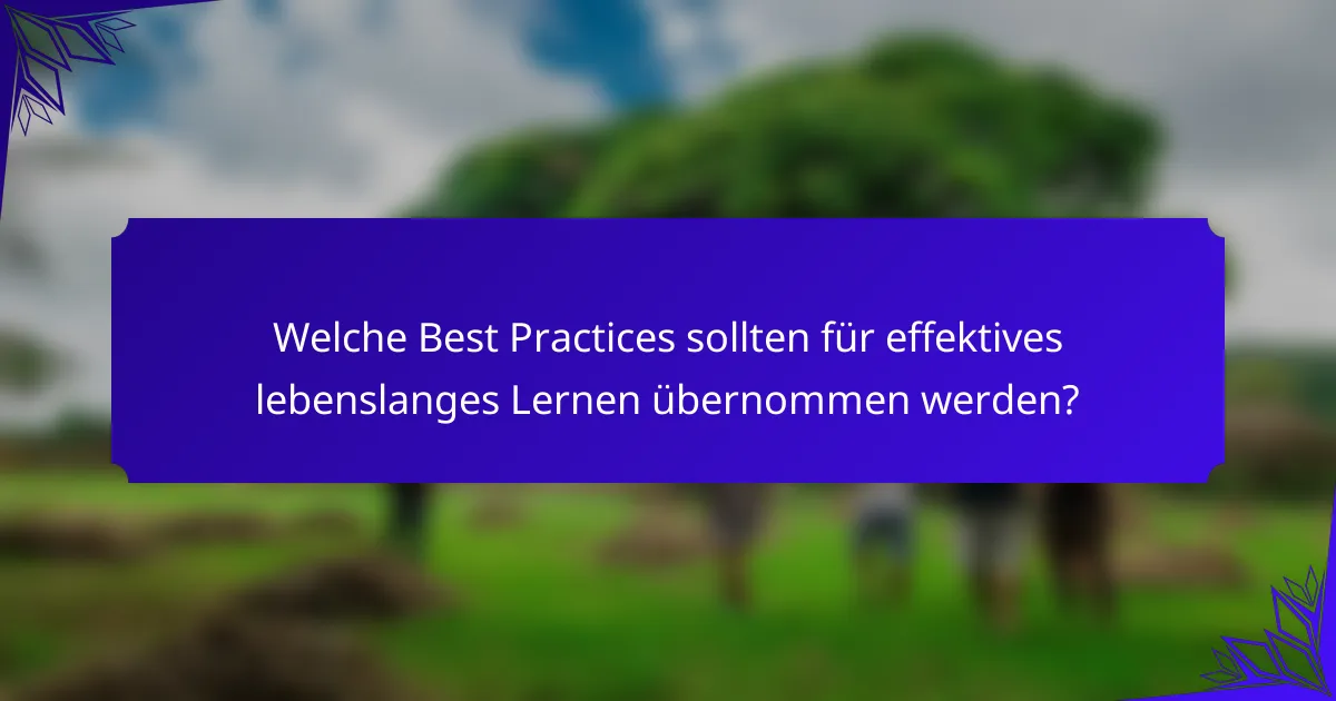 Welche Best Practices sollten für effektives lebenslanges Lernen übernommen werden?