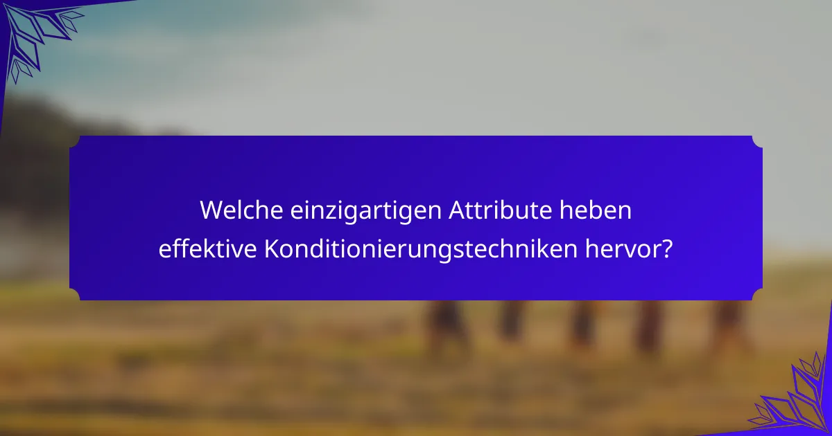 Welche einzigartigen Attribute heben effektive Konditionierungstechniken hervor?