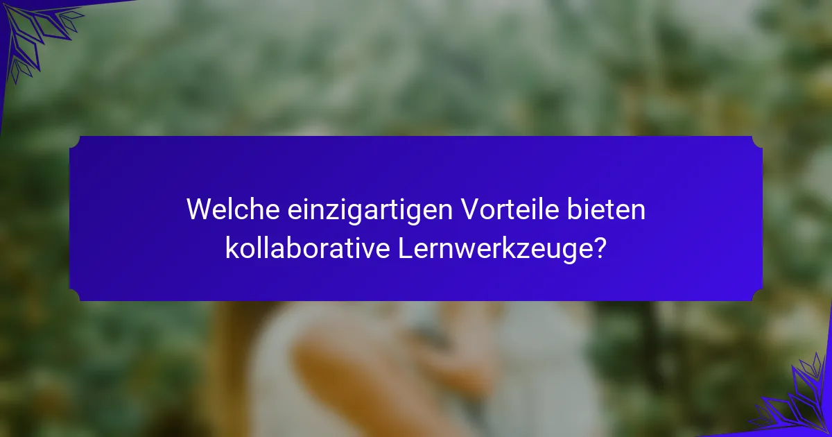 Welche einzigartigen Vorteile bieten kollaborative Lernwerkzeuge?