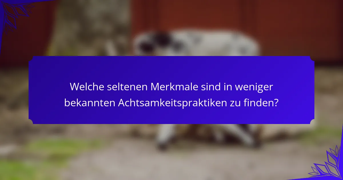 Welche seltenen Merkmale sind in weniger bekannten Achtsamkeitspraktiken zu finden?